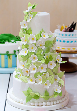 ��ɫ����