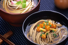 ��ʽ����