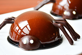 �ɿ���֩��